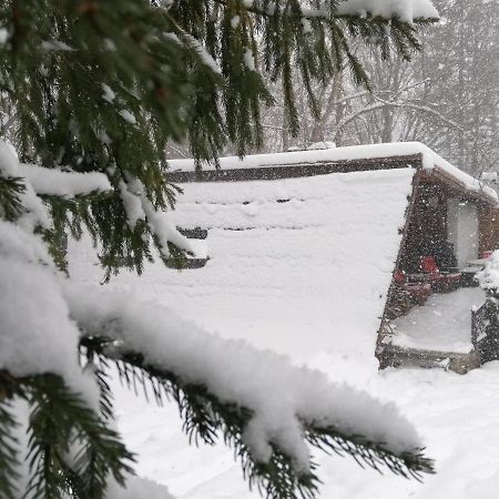 Chalpa Na Skarpie Villa Meszna Eksteriør bilde